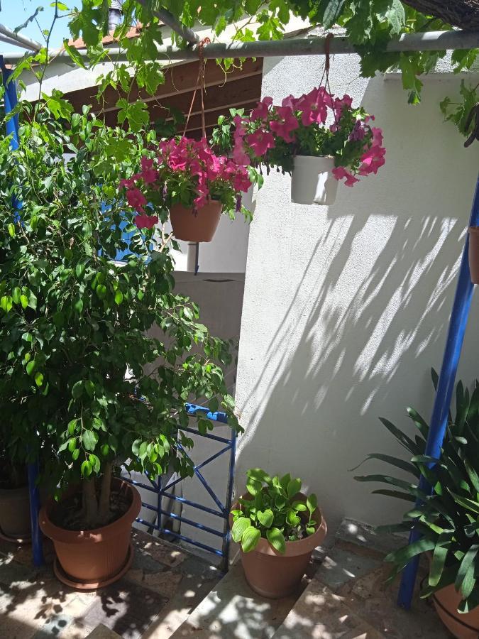 Apartament To Limanaki Finikounda Zewnętrze zdjęcie